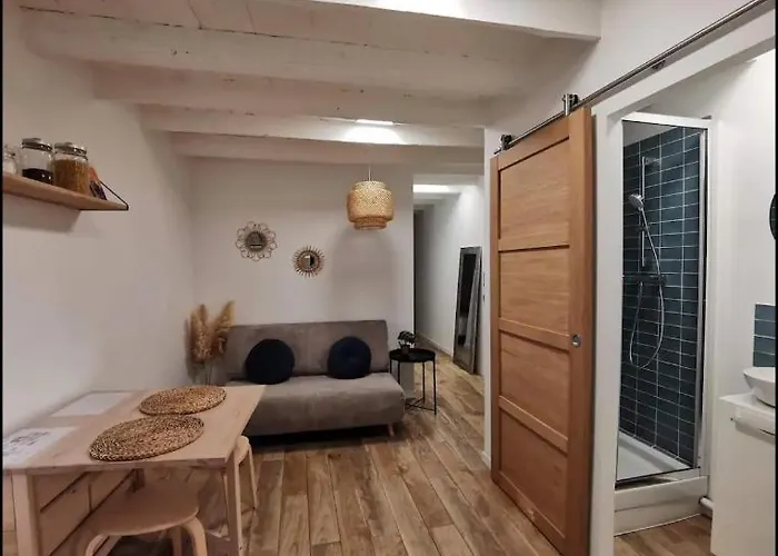 شقة L'antoninplein Centre-maison Carree/p1 Bis نيم